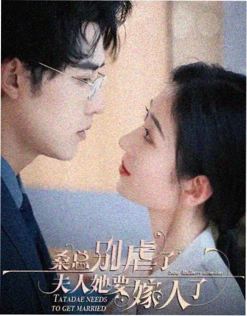 青瓦巷日常 白菜影院生活剧集