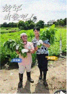 声音的旅行 白菜影院音乐综艺